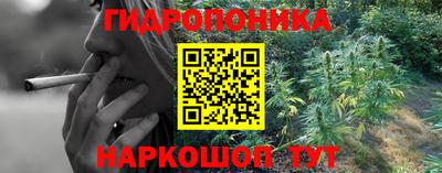 ПСИЛОЦИБИНОВЫЕ ГРИБЫ Заводоуковск